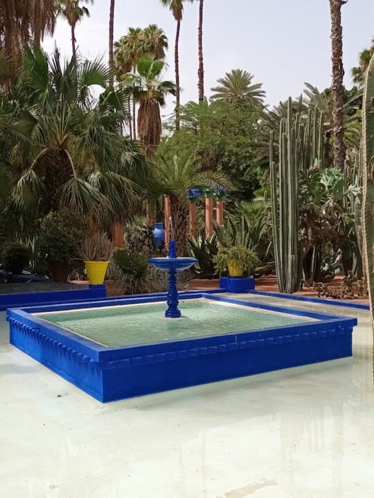 Não me canso disto_Jardim_d.jpg