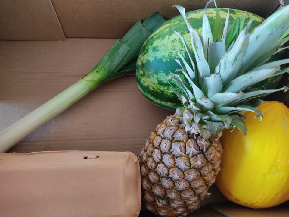 301948287_2394280690711678_2284809745594257265_n.j