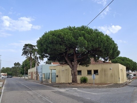 12c_Caminhada_vespertina_De_Mira_a_Carromeu (58).j