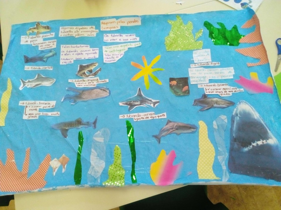 117410445_761168287968507_1090893439779512366_n.jp