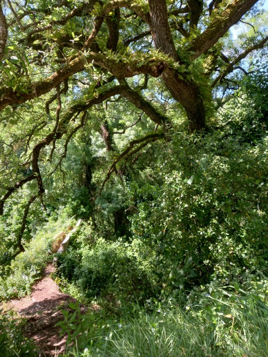 20210418_152708.jpg 20210418_152708.jpg