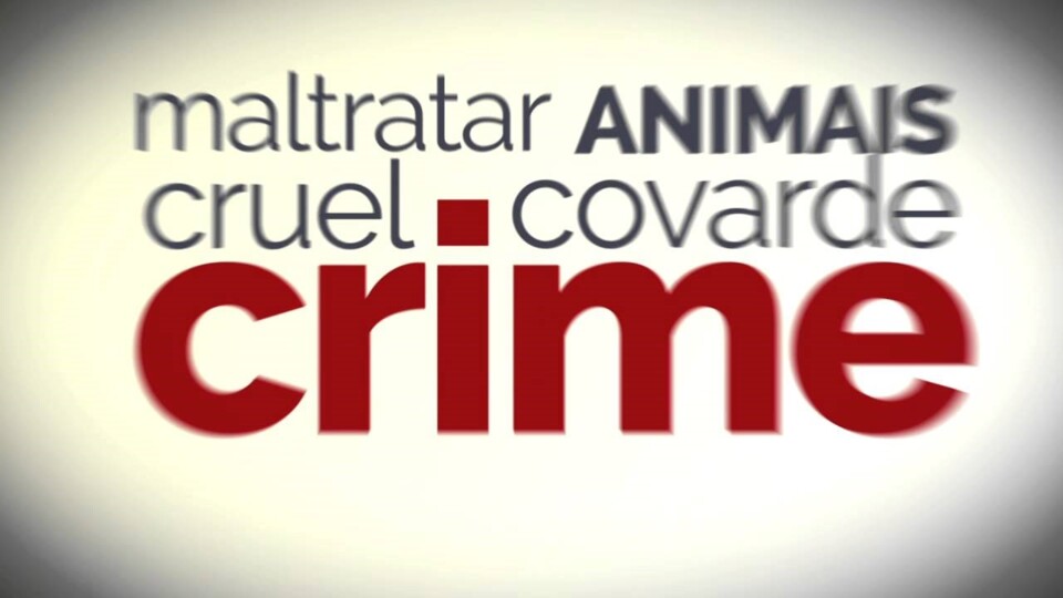 MALTATAR ANIMAIS.jpeg