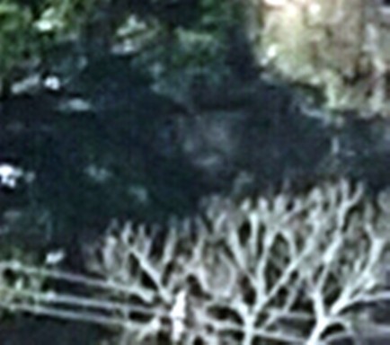 Mãe Natureza-1-2.jpg