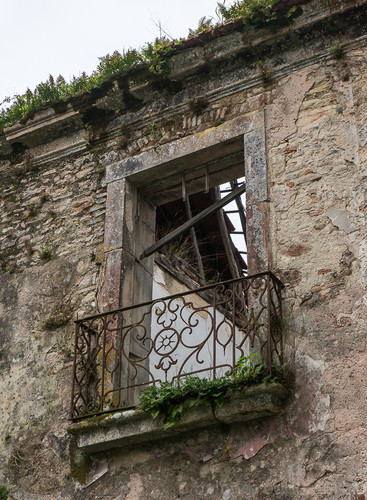 DSC01039.jpg DSC01039.jpg