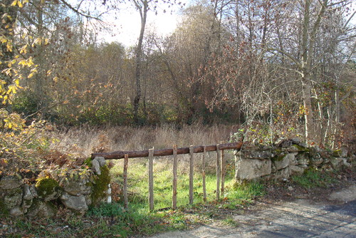 Pedras Salgadas