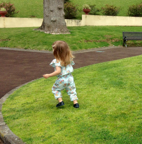 IMG_2788.JPG IMG_2788.JPG