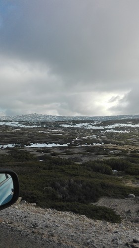 IMG_20170121_153130.jpg IMG_20170121_153130.jpg