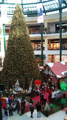 natalcolombo2015.jpg natalcolombo2015.jpg