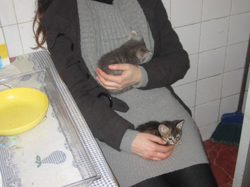 Becas e Amora 5.JPG Becas e Amora 5.JPG