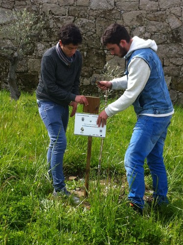 2016-04-22 10.53.09.jpg