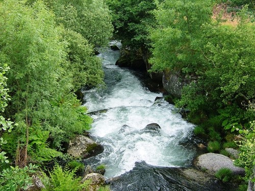 Rio Coura.jpg