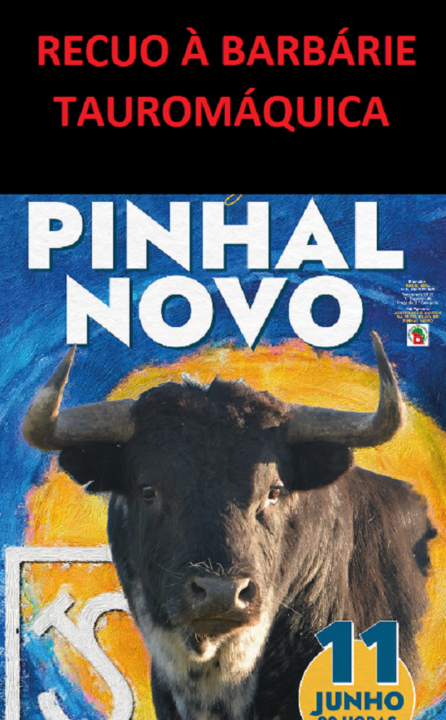 PINHAL NOVO.png