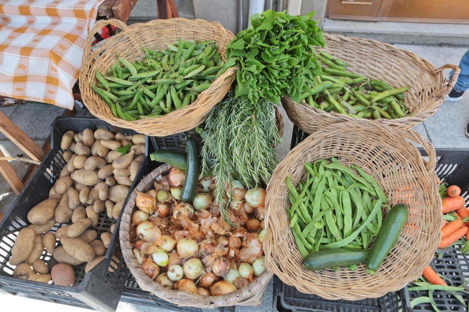 120550708_3294024497318723_1737595030096916899_o.j