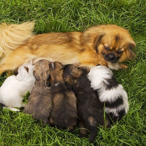 1453137_450_450_81393_0_fill_0_4504a0a7c504e59bb47