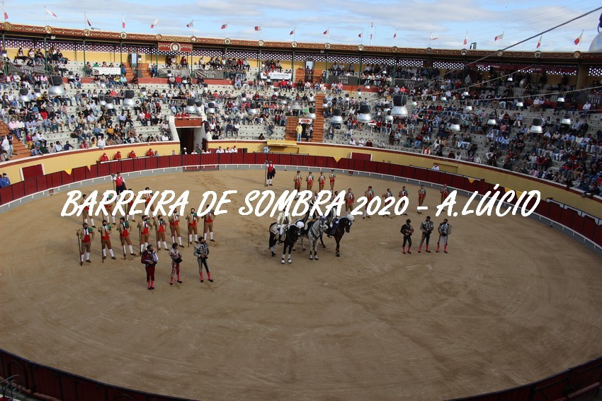 IMG_7176.JPG IMG_7176.JPG