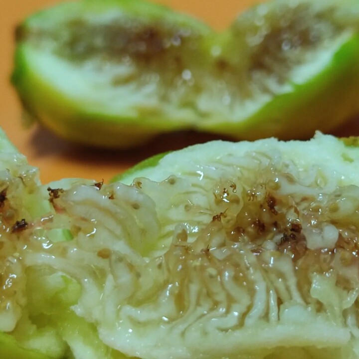 296132571_2374965879309826_5912968632849994815_n.j