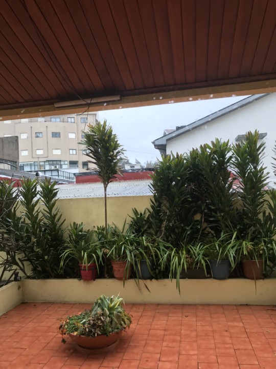 Ponto de vista 1.jpg Ponto de vista 1.jpg