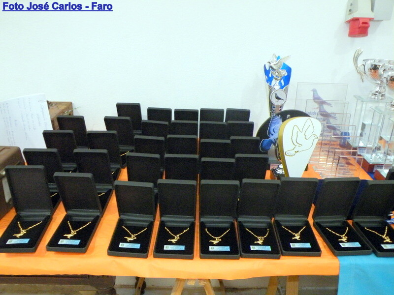 DSCF5036 - Cópia.JPG