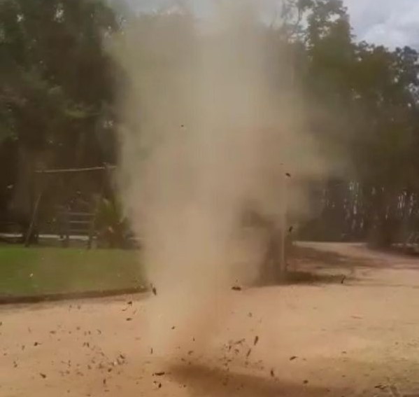 Captura de ecrã 2021-02-01 133027.jpg