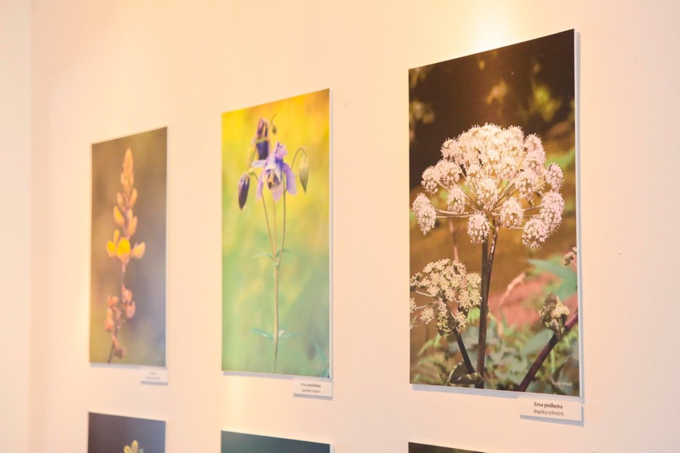 119111151_3229038000484040_5152971254404083072_o.j 119111151_3229038000484040_5152971254404083072_o.j