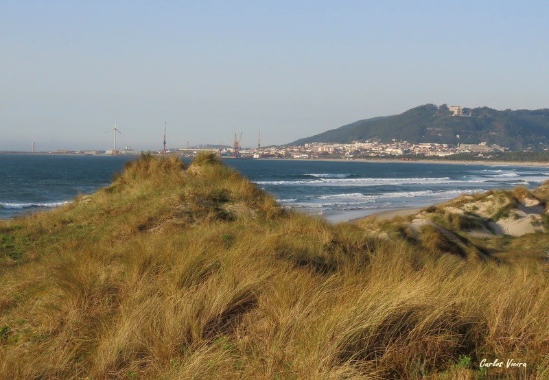 128052466_10225202112186425_9041493756379963556_n.