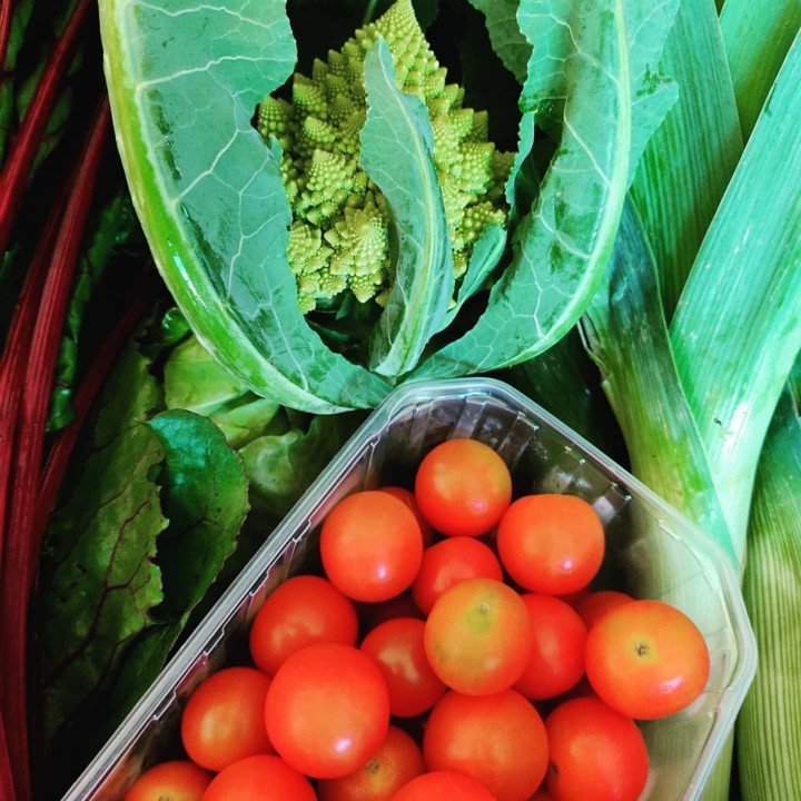 134088507_1913151822157903_4141641337686876237_o.j