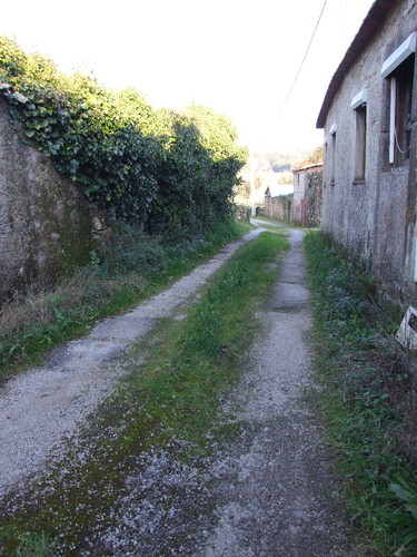 Valongo estrada do salgueiro (2).JPG