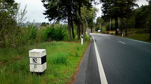 naciona2_023771ccc7.jpg