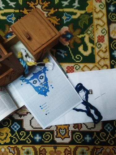 12794510_10208197645320213_529600126329661747_n (1