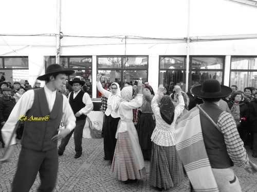 Feira do Queijo Em Seia !!! 537.jpg