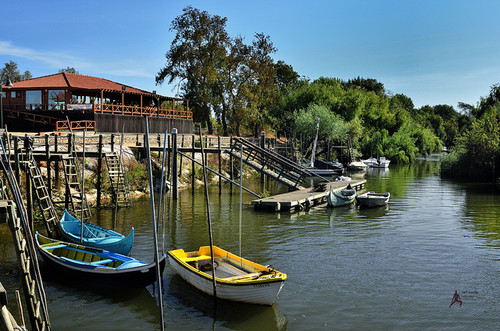 8041278945_1e6364bd2a_z.jpg 8041278945_1e6364bd2a_z.jpg