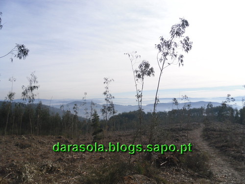 Trilho_Eiras_Famalicao_12.JPG