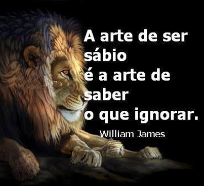 A arte de ser sábio é a arte de saber o que ignorar