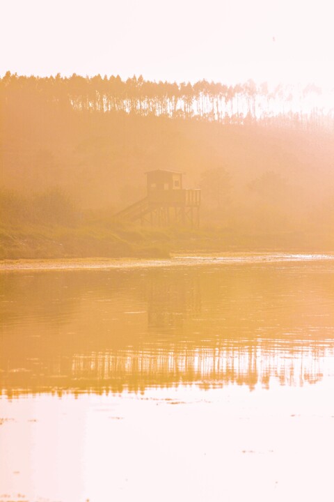 lagoa de obidos 7.jpg