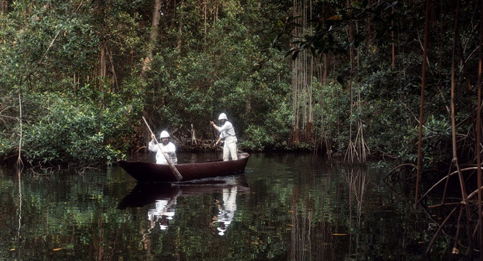 MV5BOTE3ODQ0YWQtYzkzZC00OTAwLWJhYzItOWNmNGZkZDliZW