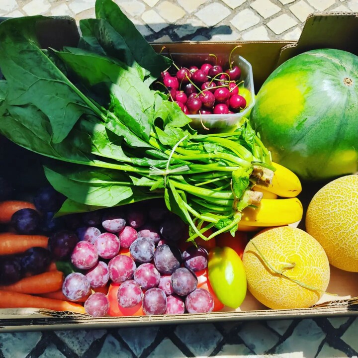 290912396_2350182241788190_2783002557314472978_n.j