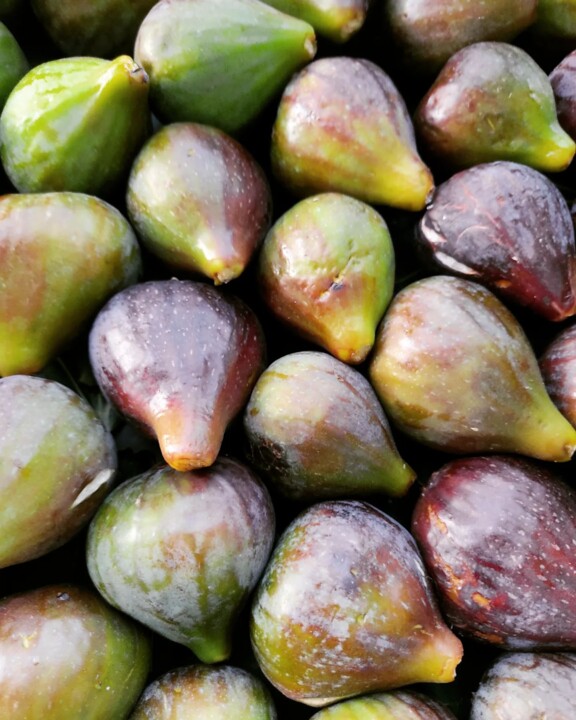 355480163_644585334365547_8084438445316433688_n.jp