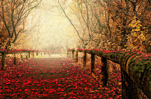 INSPIRAÇÕES DE OUTONO_FOTO9.jpg