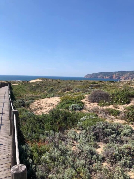 175371523_10220591382320505_8832378233652257681_n.