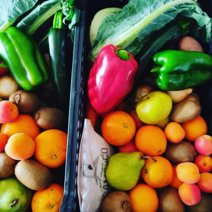 442415342_836019201888825_7892463025988221778_n.jp