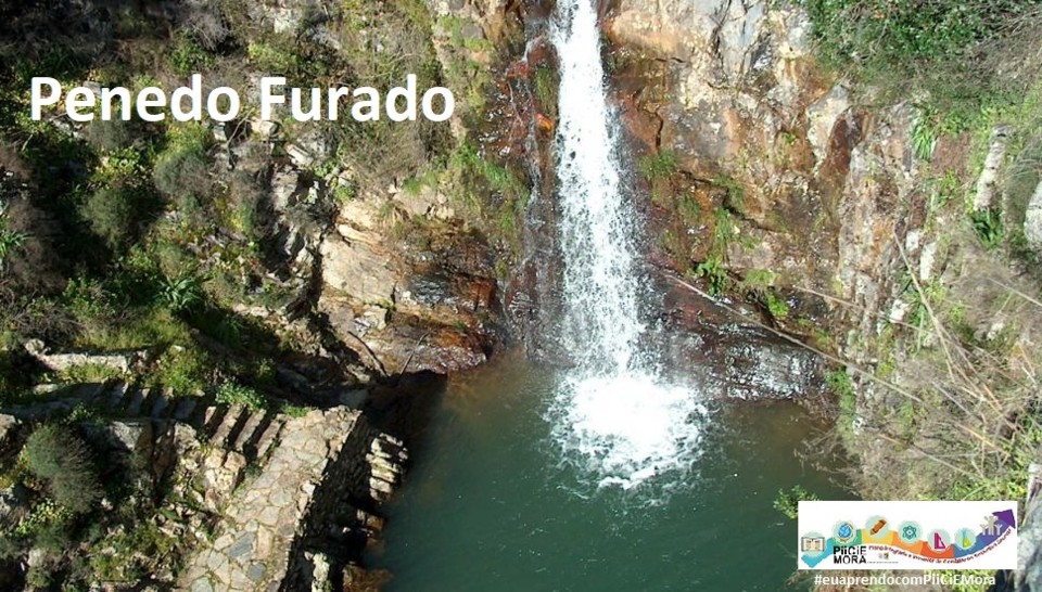 26504-Imagem%20211.jpg 26504-Imagem%20211.jpg