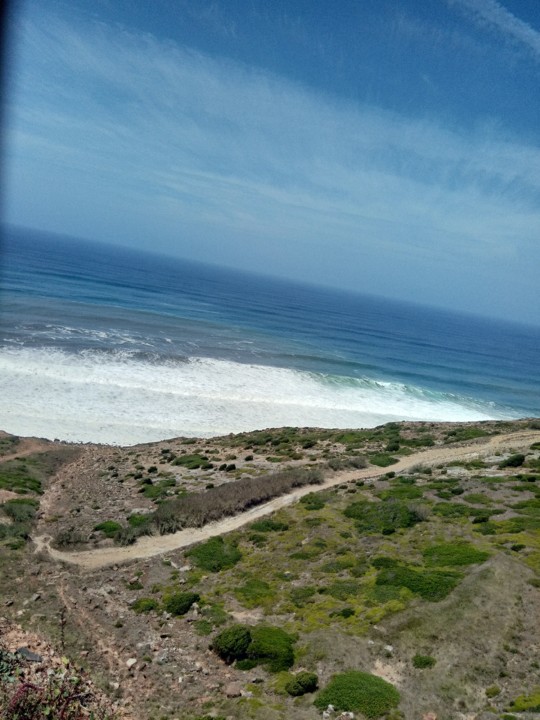 IMG_20190809_134941.jpg IMG_20190809_134941.jpg