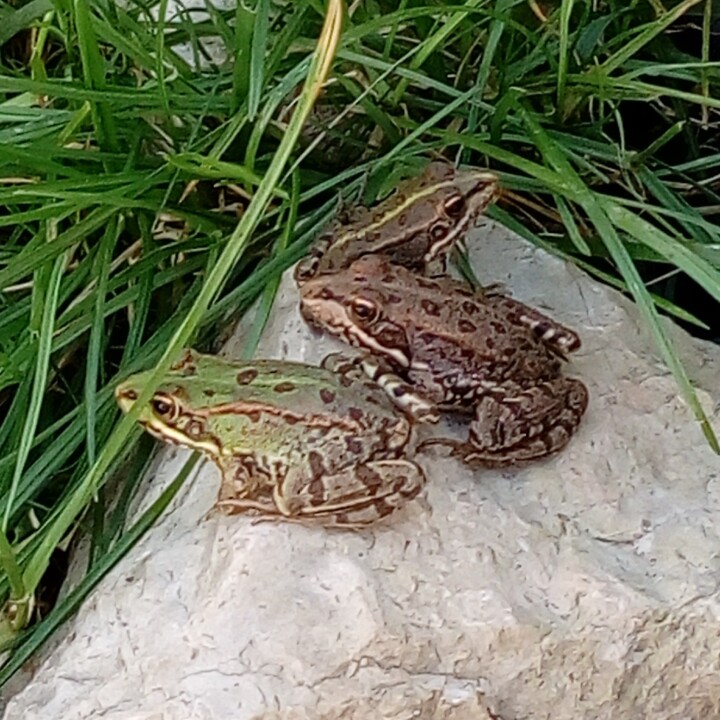 IMG_20240412_150000 - Cópia.jpg