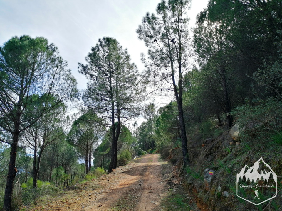 Photo_1584303015989.jpg Photo_1584303015989.jpg