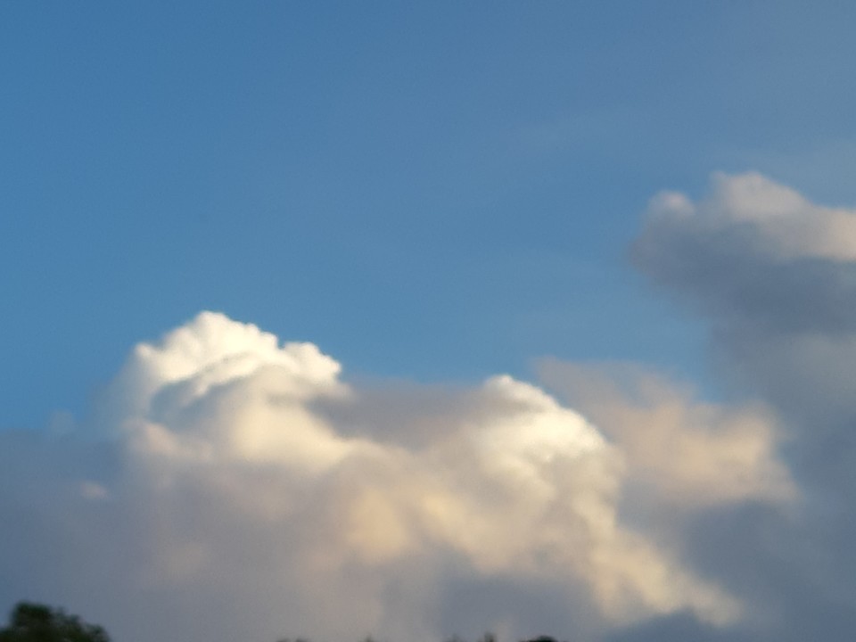 20190405_195227.jpg 20190405_195227.jpg