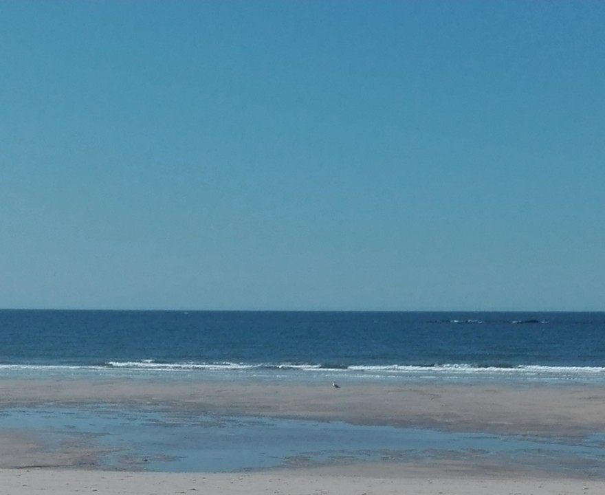 IMG_20190902_132232 (2).jpg