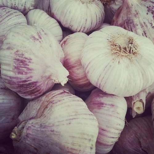 14563385_770287833110980_8769667468464761327_n.jpg 14563385_770287833110980_8769667468464761327_n.jpg