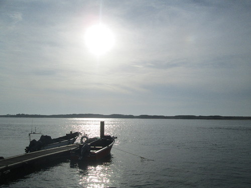 IMG_0913.JPG IMG_0913.JPG