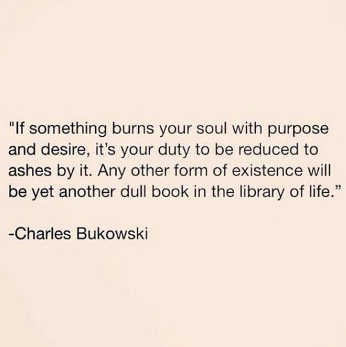 18425018_1881394972136640_3845682733902916017_n.jp 18425018_1881394972136640_3845682733902916017_n.jp