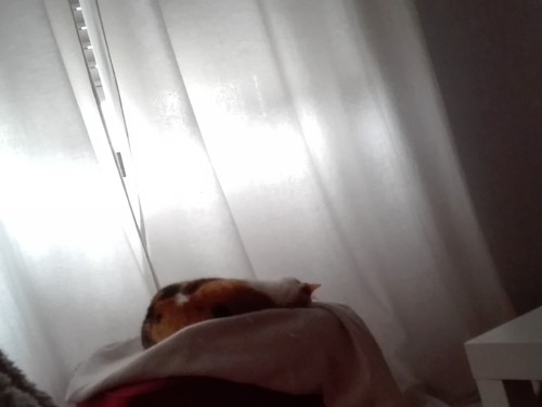 IMG_20180530_182722.jpg IMG_20180530_182722.jpg